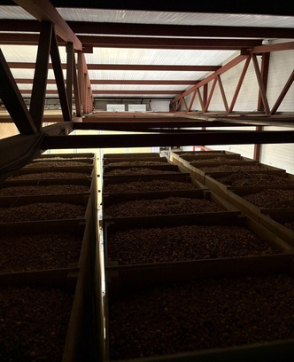 23a8bdc9-2b51-40e2-8860-b80e59145da0-изображение whatsapp 2025-09-30 в 14.21.34_f80bd545.jpg